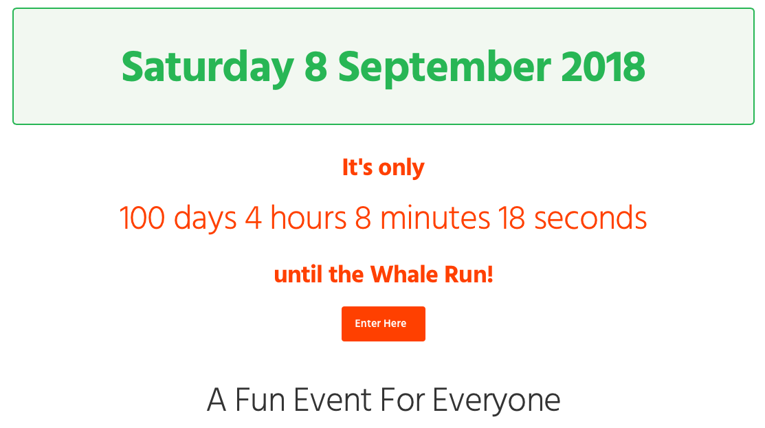 Whale Run