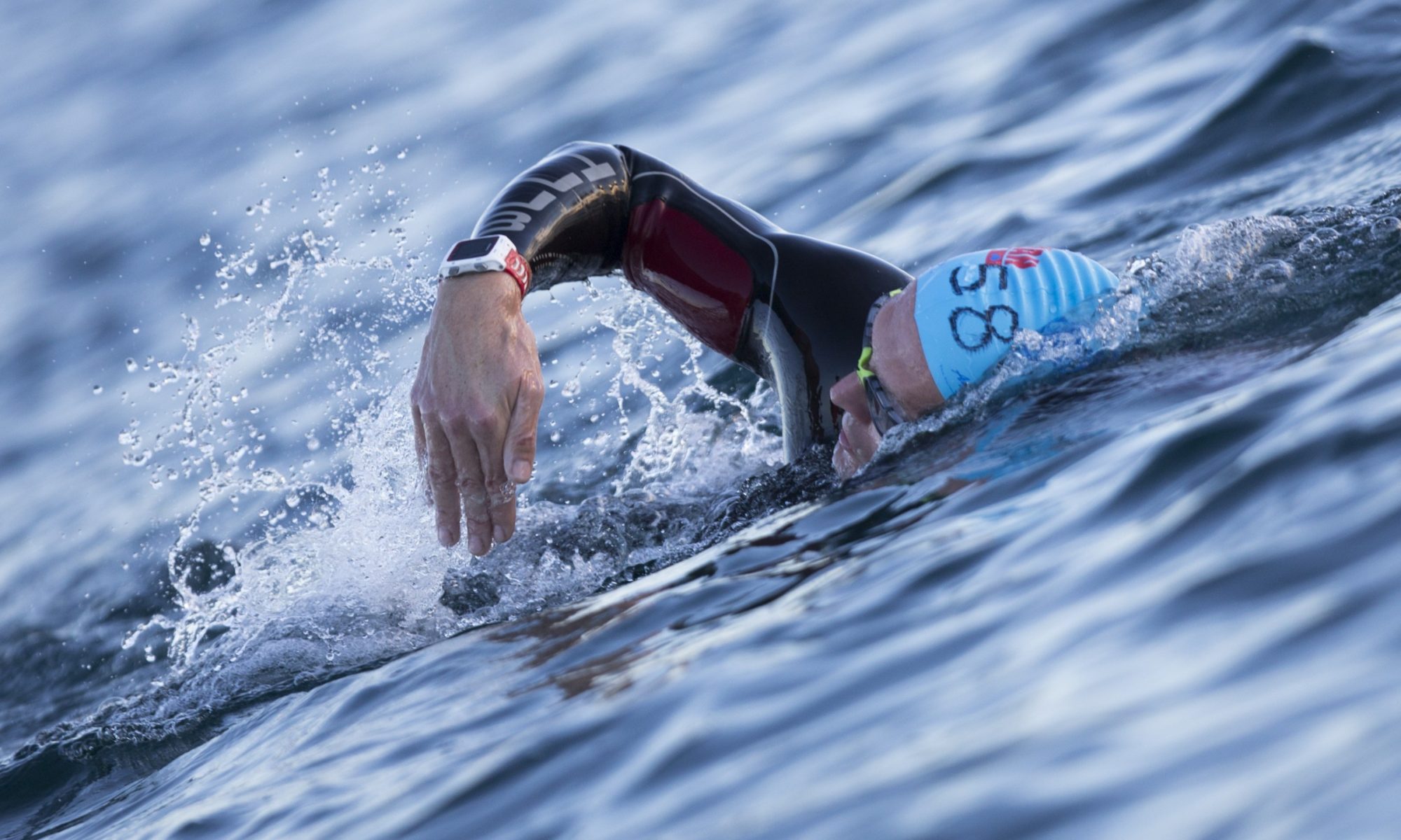 Free 30 Day Swim Programme – Coach Ray – Qwik Kiwi Coaching