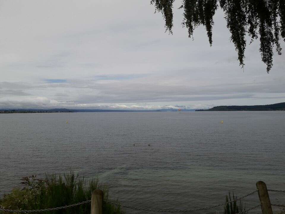 Across the Lake Swim