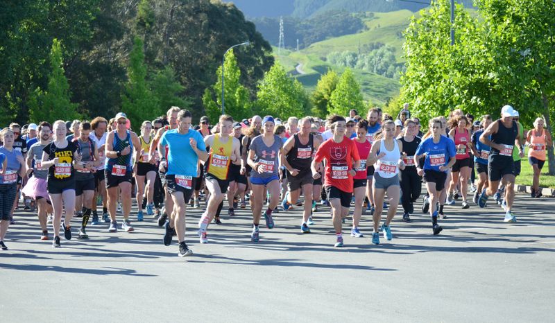 Nelson Festival of Running