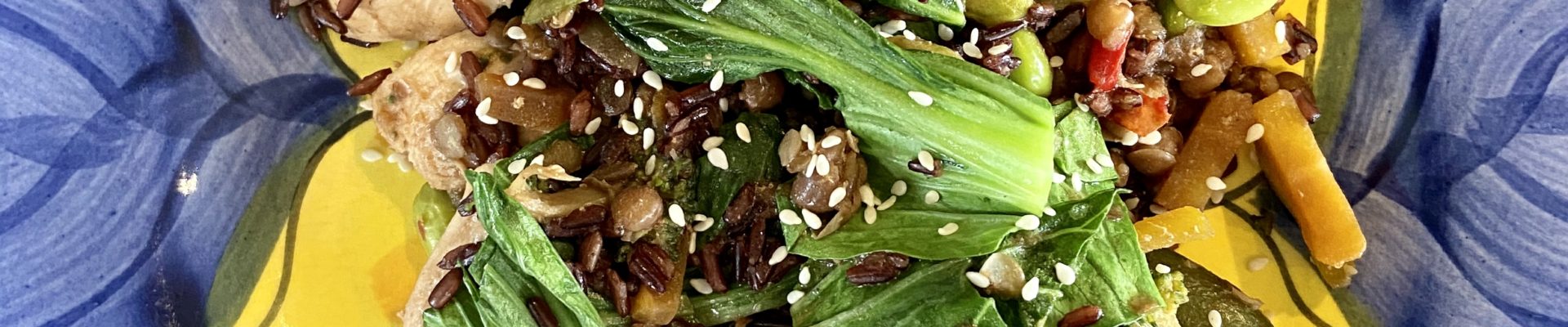 Sesame Soy Chicken with Lentils