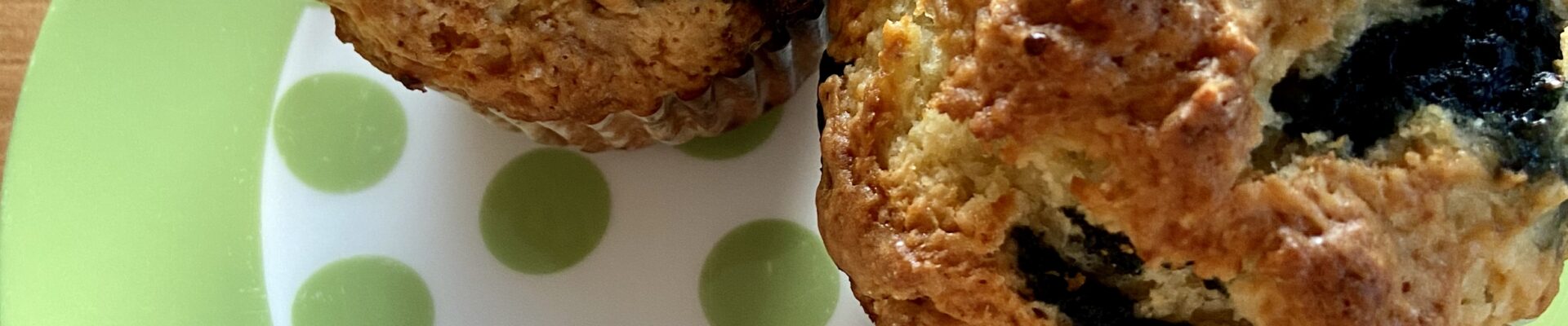 Greek Yogurt Blueberry Muffins (Low Sugar Recipe)