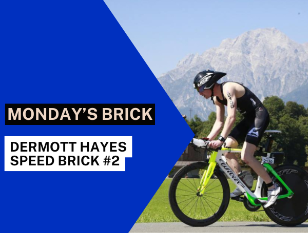 Dermott Hayes Speed Brick #2